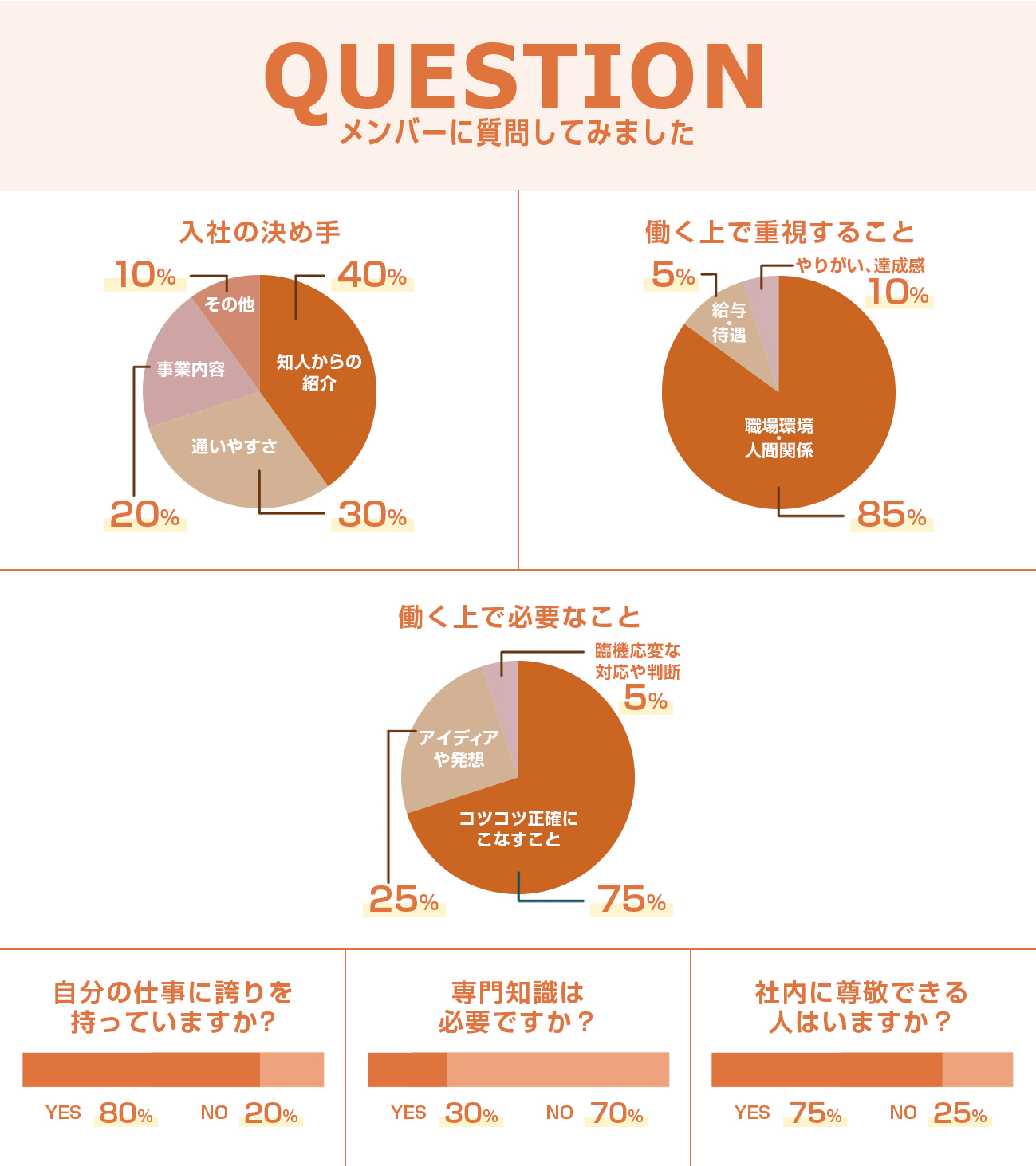 数字で見るコスモテックス